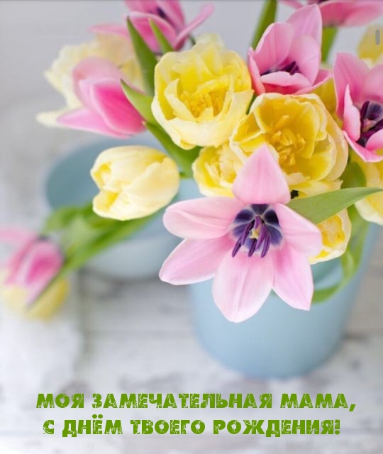 Моя замечательная мама, с Днём твоего рождения!