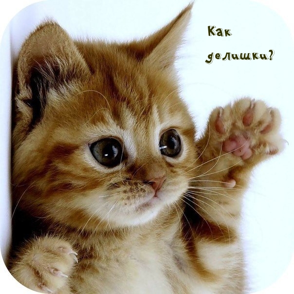 Как делишки?