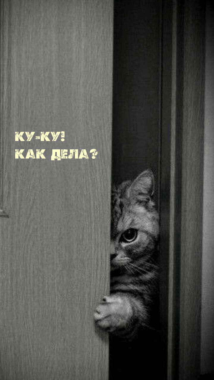 Ку-ку! Как дела?