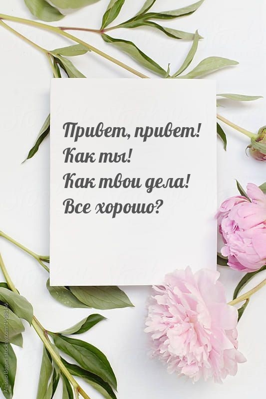 Привет, привет! Как ты! Как твои дела! Все хорошо?