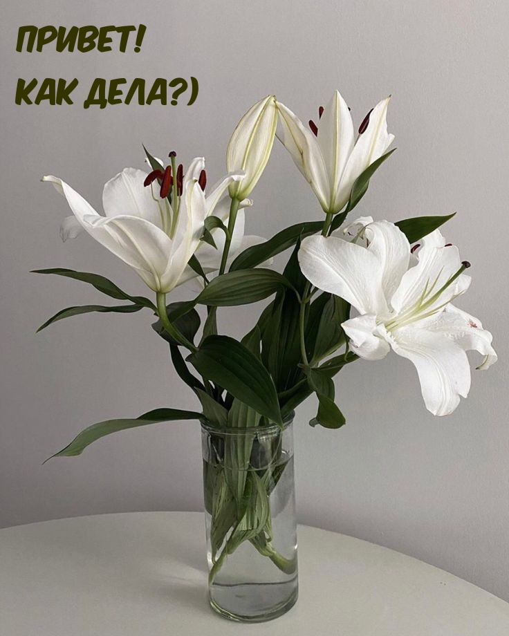 Привет! Как дела?)