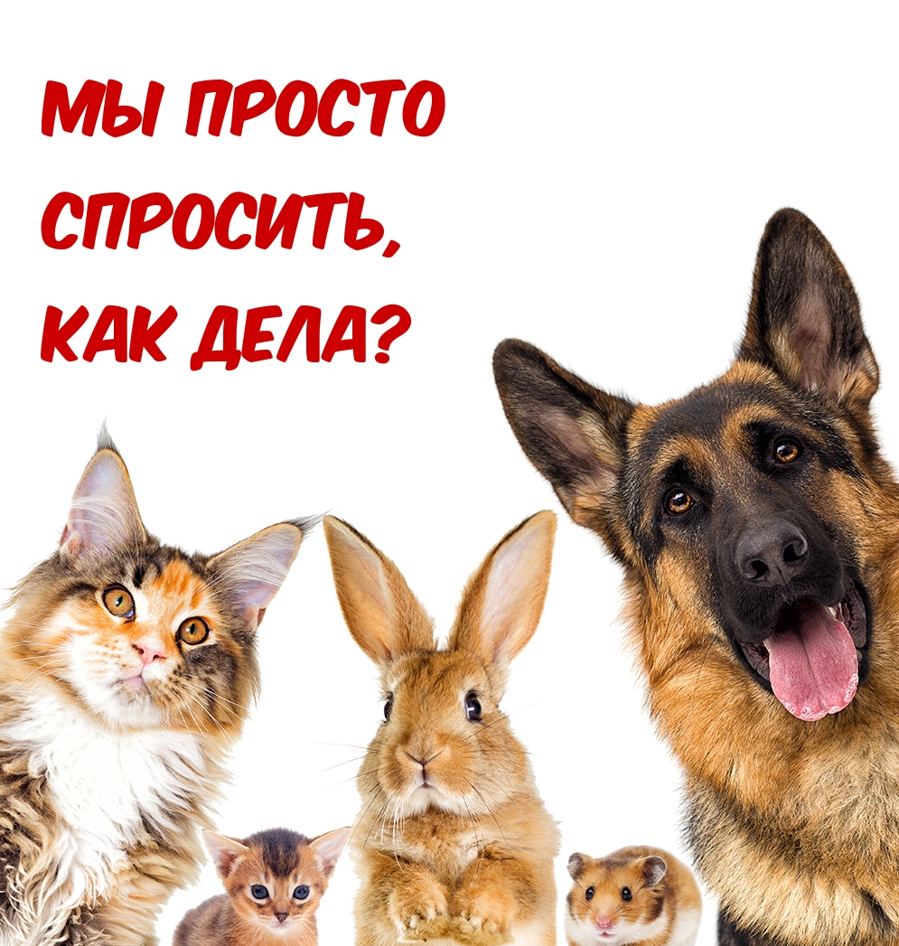 Мы просто спросить, как дела?