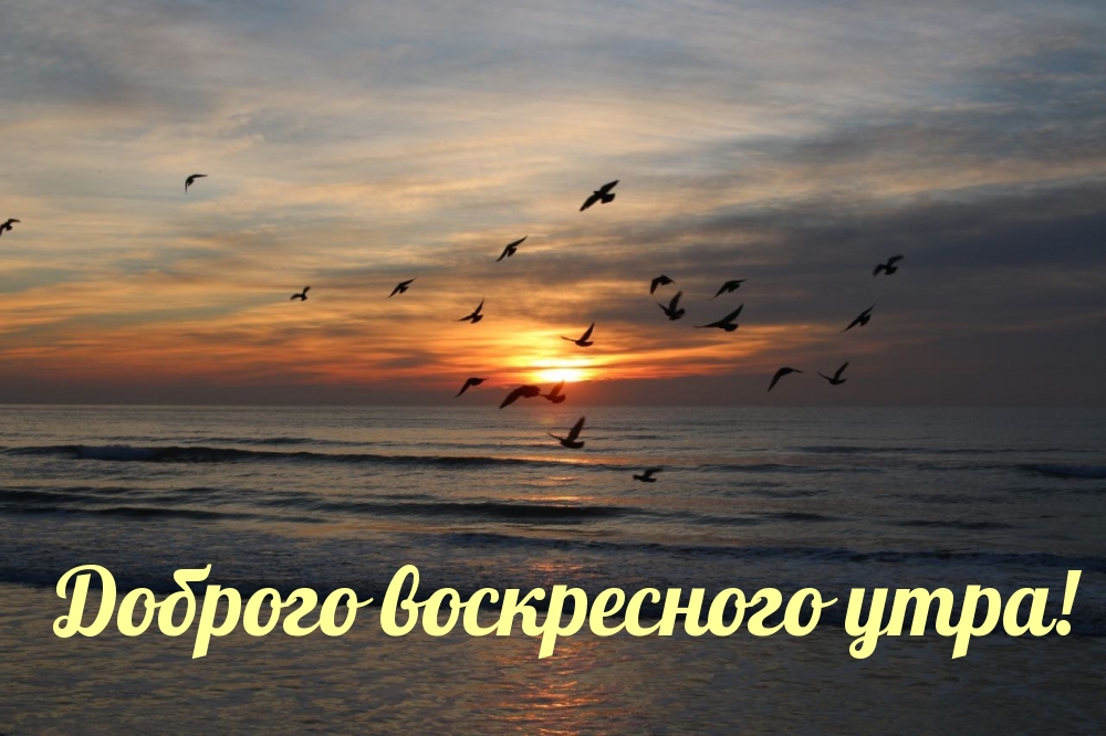 Доброго воскресного утра!