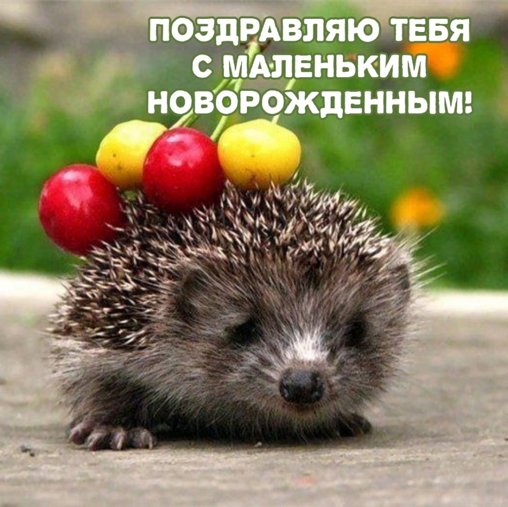 Поздравляю тебя с маленьким новорожденным!