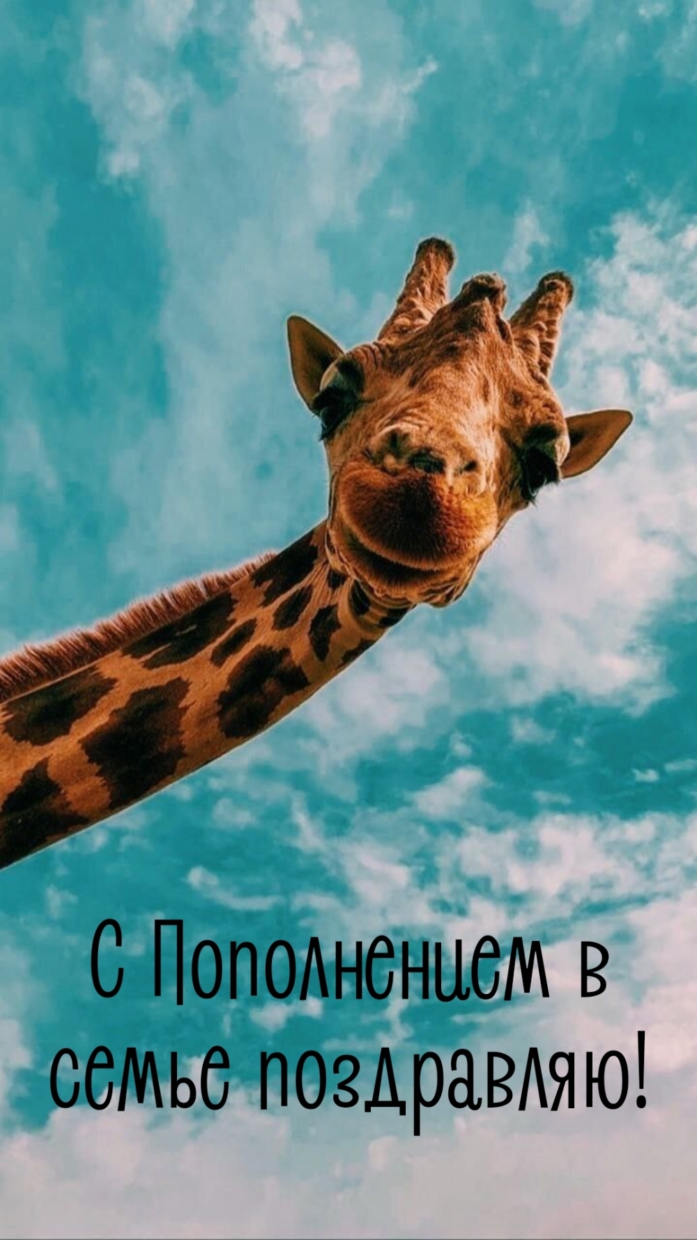 С Пополнением в семье поздравляю!