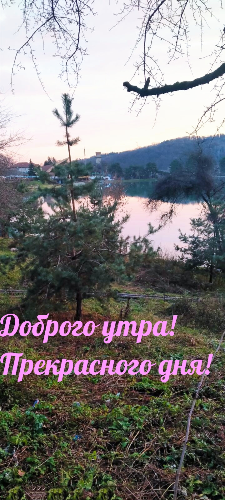 Доброго утра! Прекрасного дня!