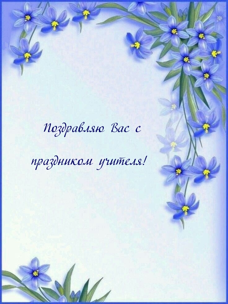 Поздравляю Вас с праздником учителя!