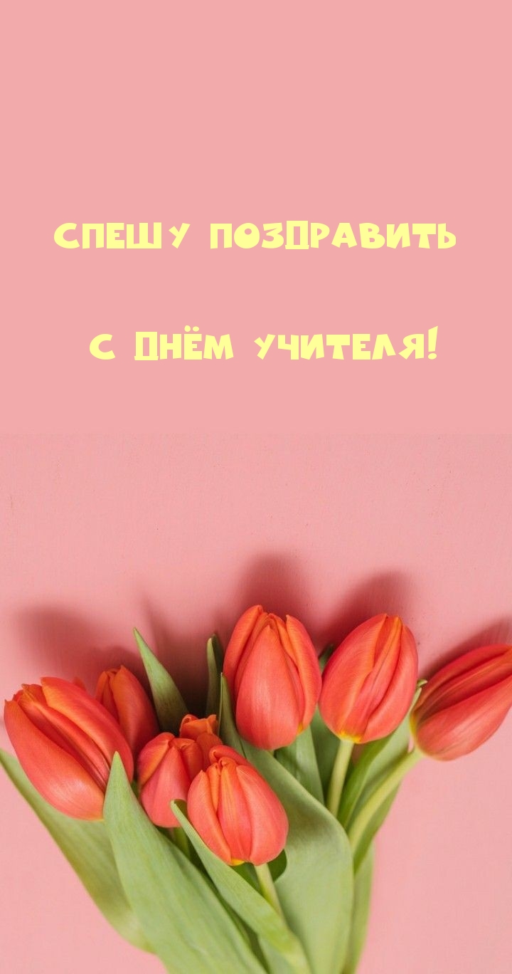 Спешу поздравить с Днём учителя!