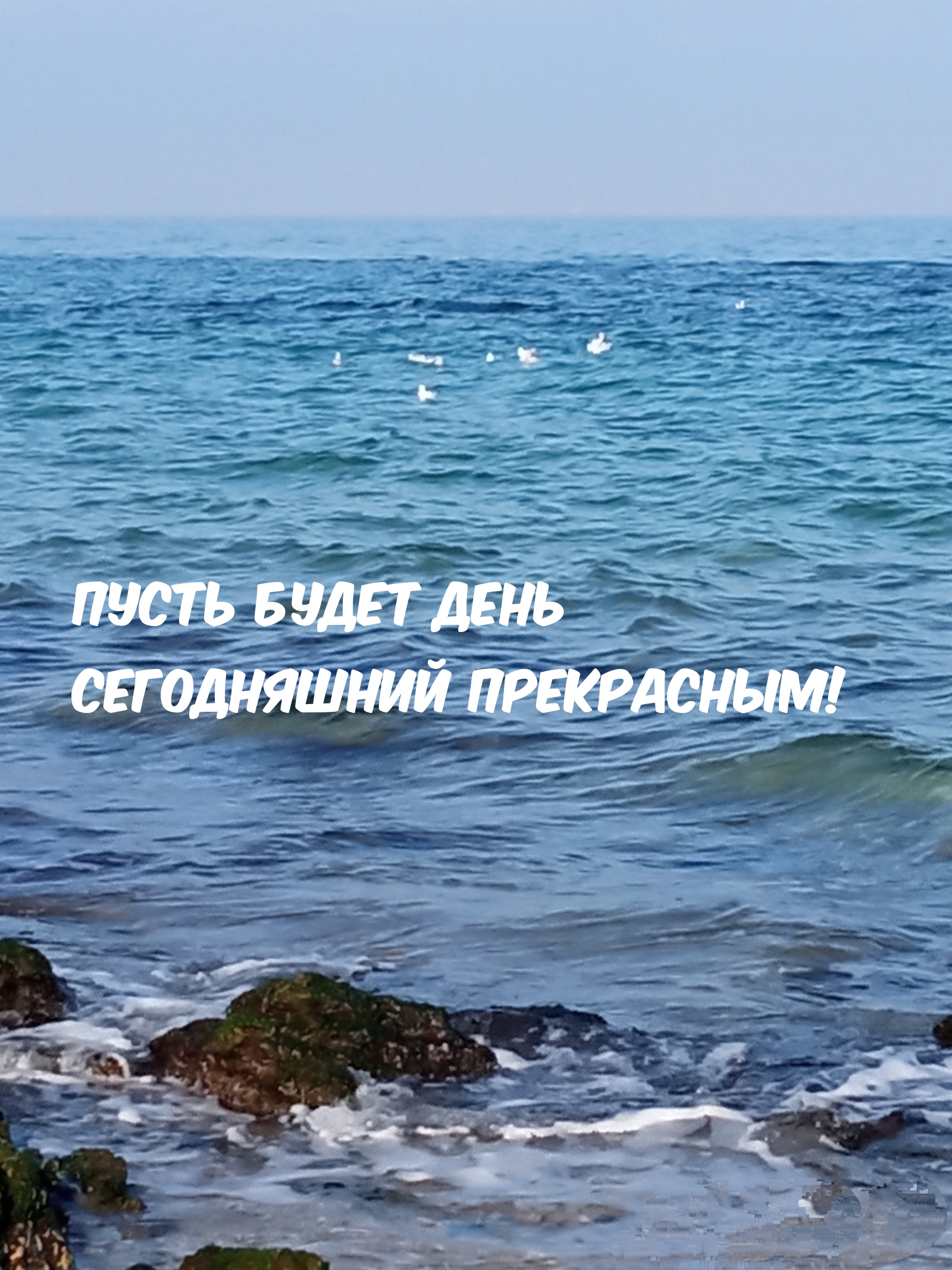 Пусть будет день сегодняшний прекрасным!