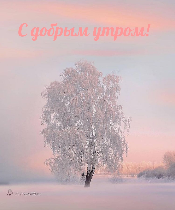 С добрым утром!