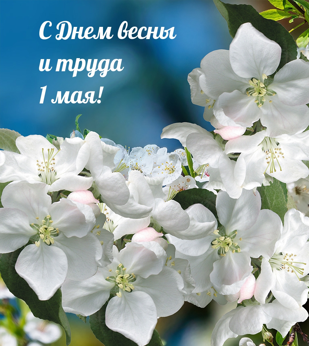 С Днем весны и труда 1 мая!