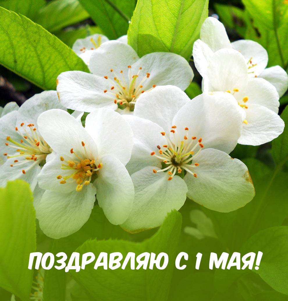 Поздравляю с 1 мая!