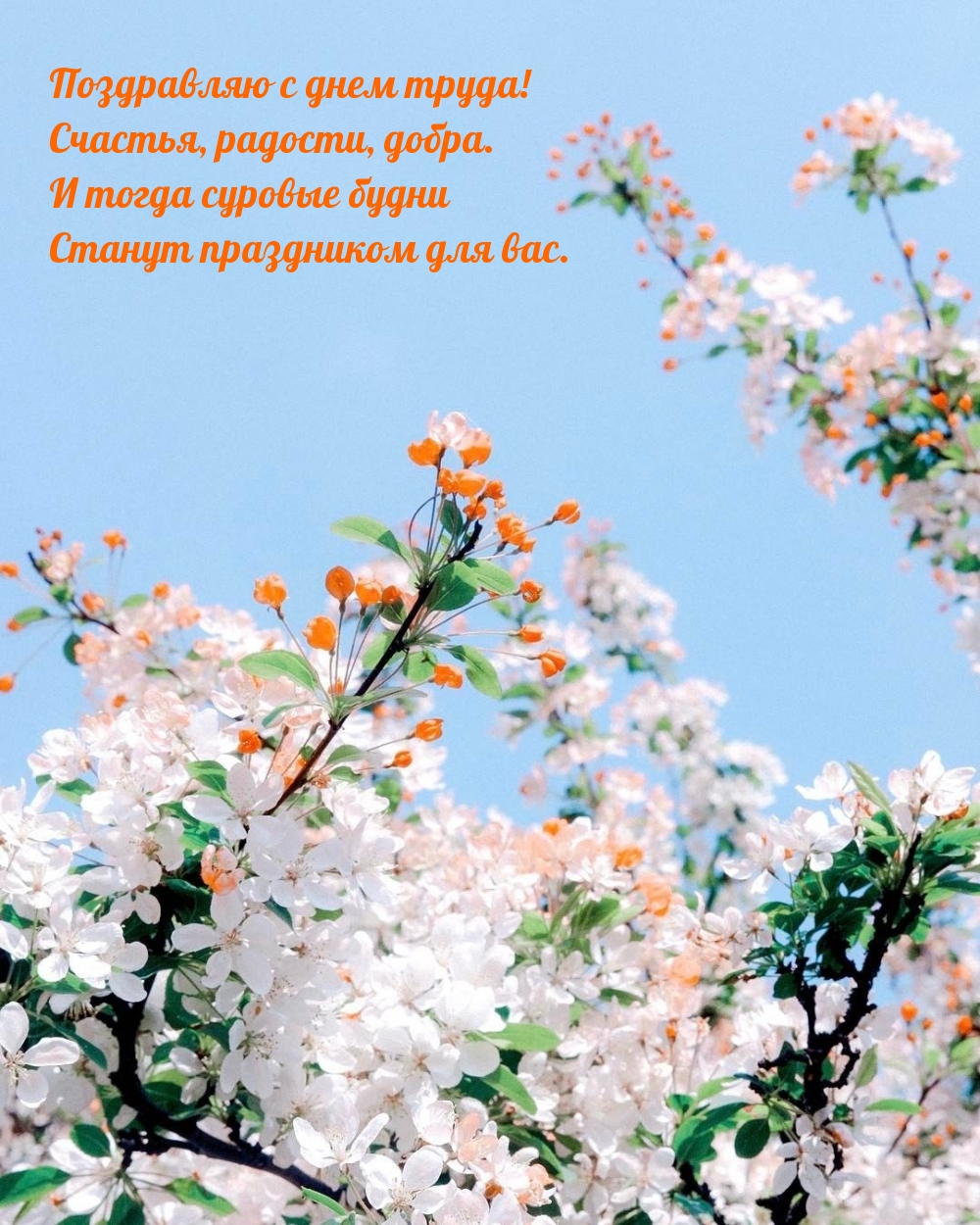 Поздравляю с днем труда!