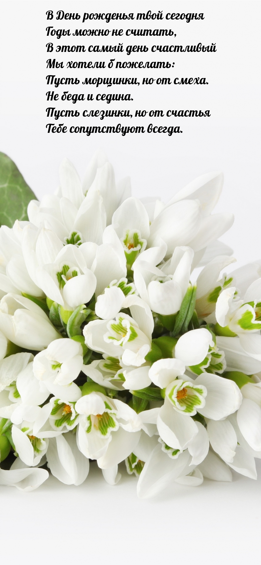 В День рожденья твой сегодня годы можно не считать