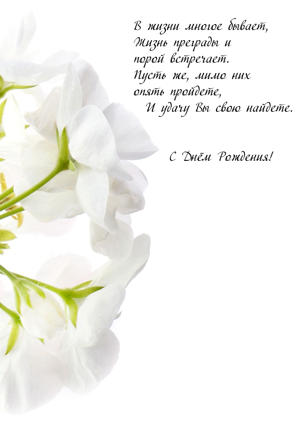 С Днём Рождения!