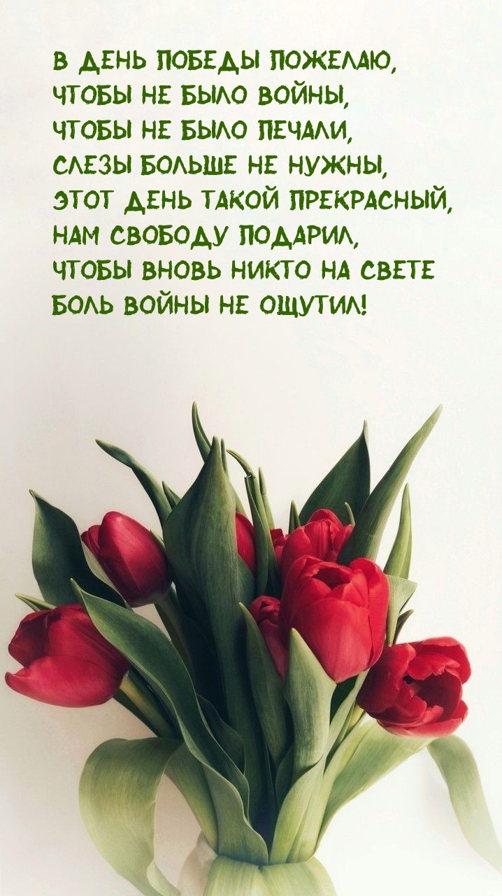 В день Победы пожелаю, чтобы не было войны. Слезы не нужны