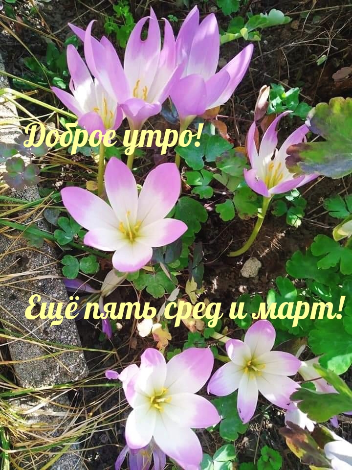 Доброе утро! Ещё пять сред и март!