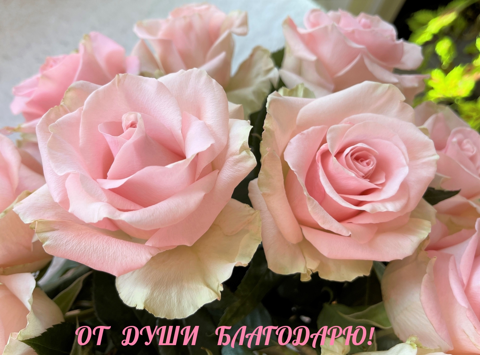 ОТ ДУШИ БЛАГОДАРЮ!