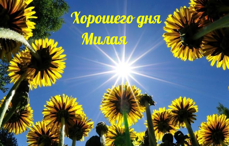 Хорошего дня Милая