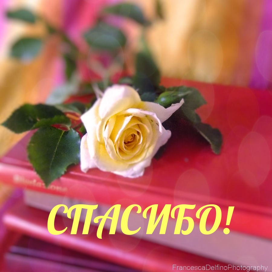 СПАСИБО!