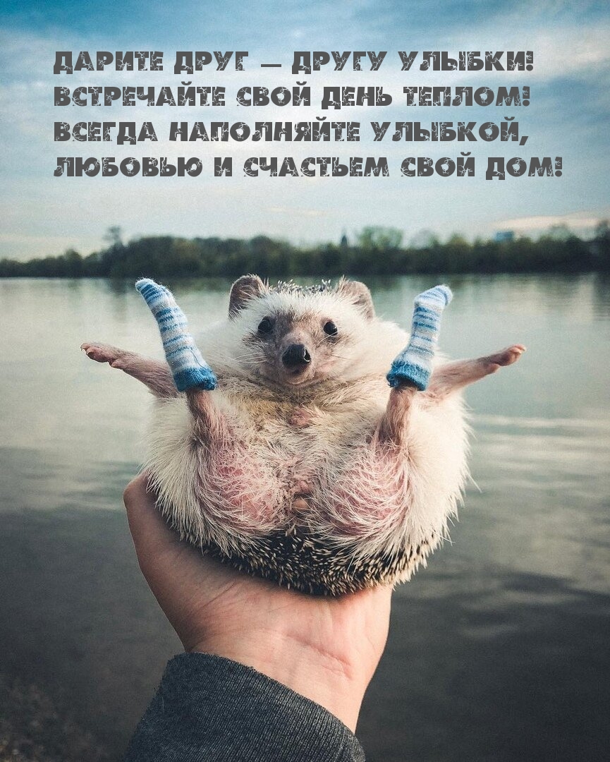 Картинки с надписями.  Дарите друг — другу улыбки! Встречайте свой день теплом!.