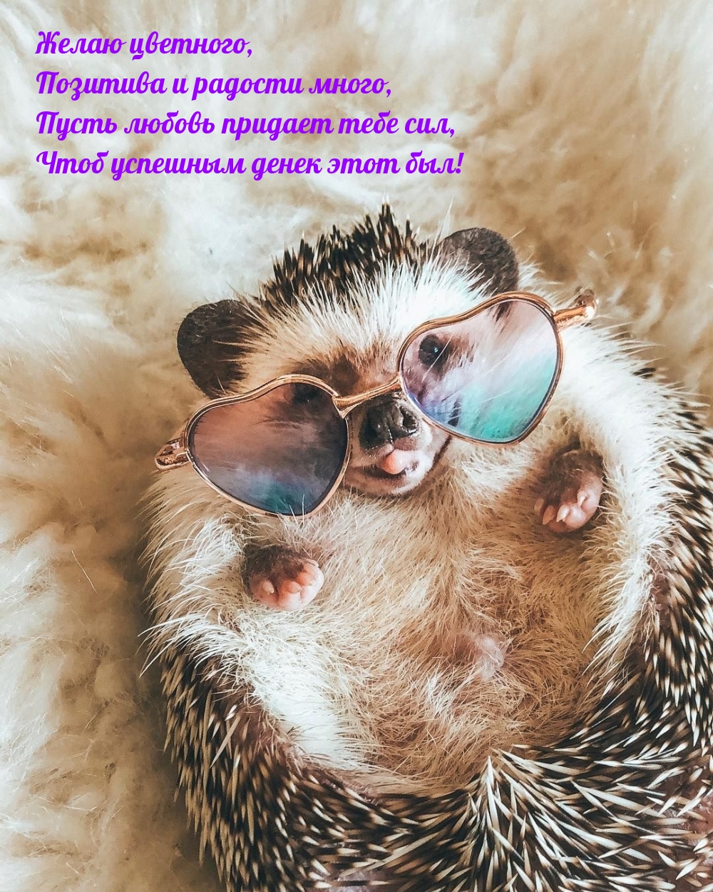 Желаю цветного, позитива и радости много