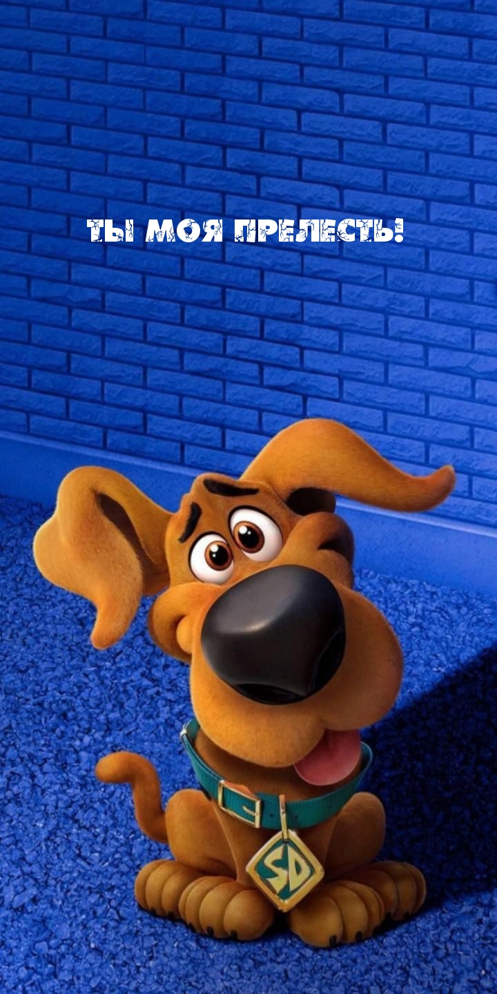 Картинки с надписями.  Ты моя прелесть!.