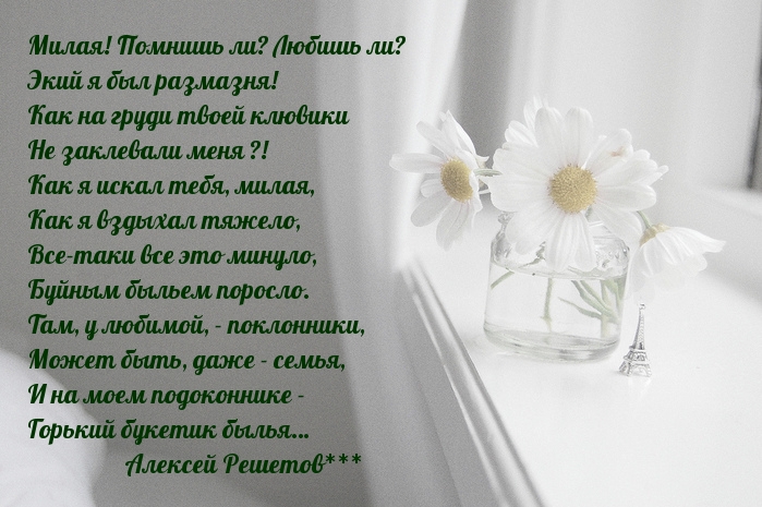 Милая! Помнишь ли? Любишь ли? Экий я был размазня!