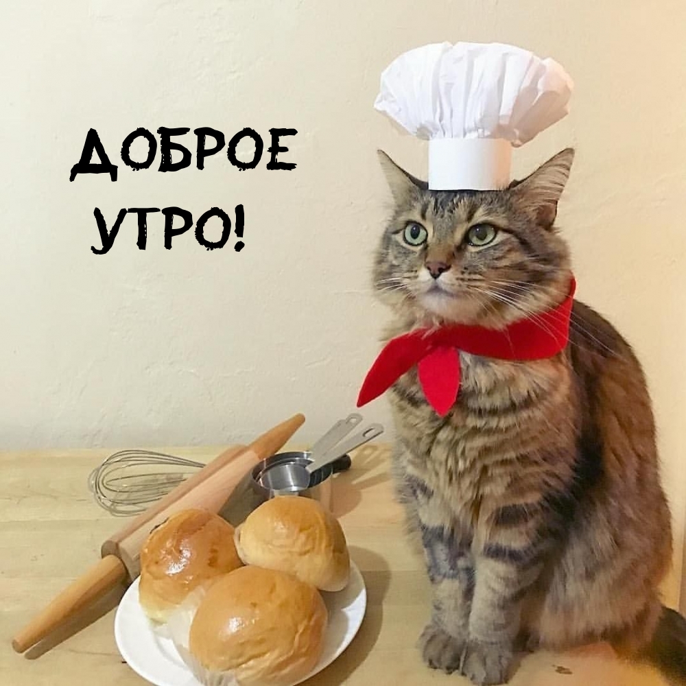 Доброе утро!