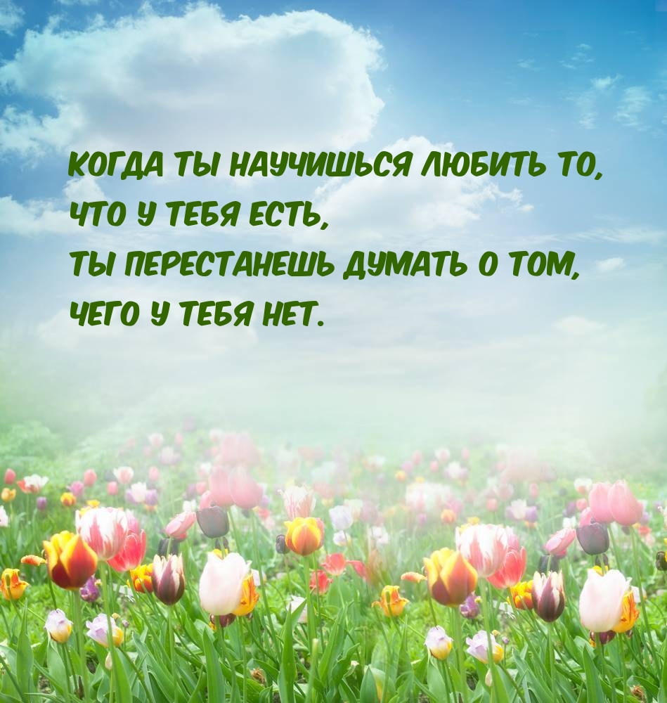 Когда ты научишься любить то, что у тебя есть, ты перестанешь