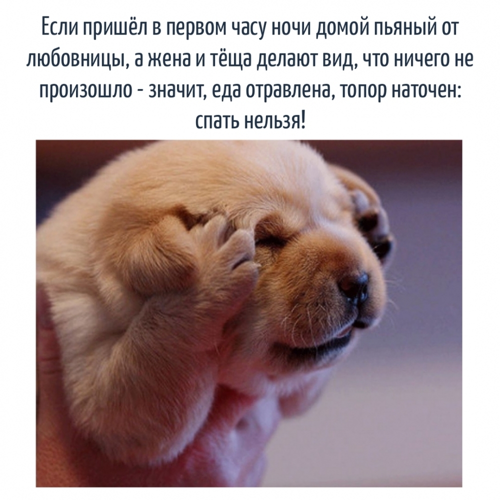 Если пришёл в первом часу ночи домой пьяный от любовницы