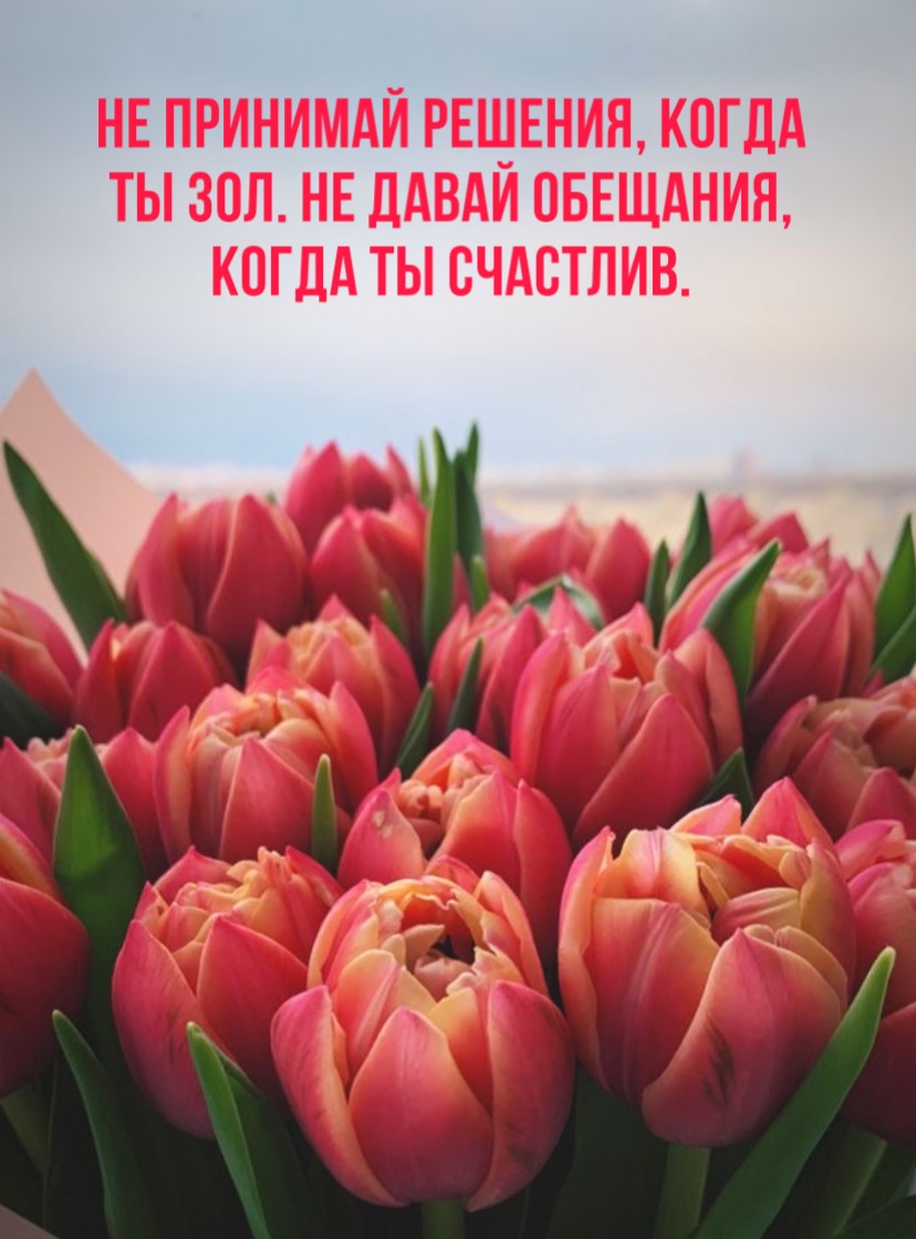 Картинки с надписями.  Не давай обещания, когда ты счастлив..