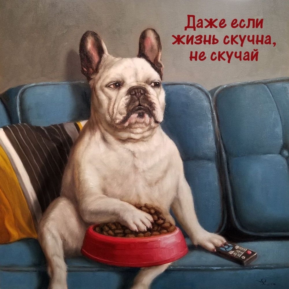 Даже если жизнь скучна, не скучай