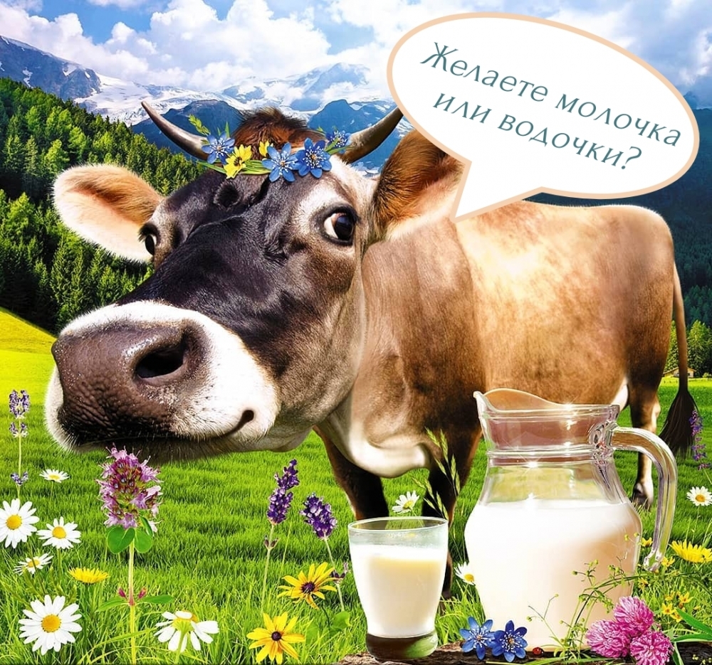 Желаете молочка или водочки?