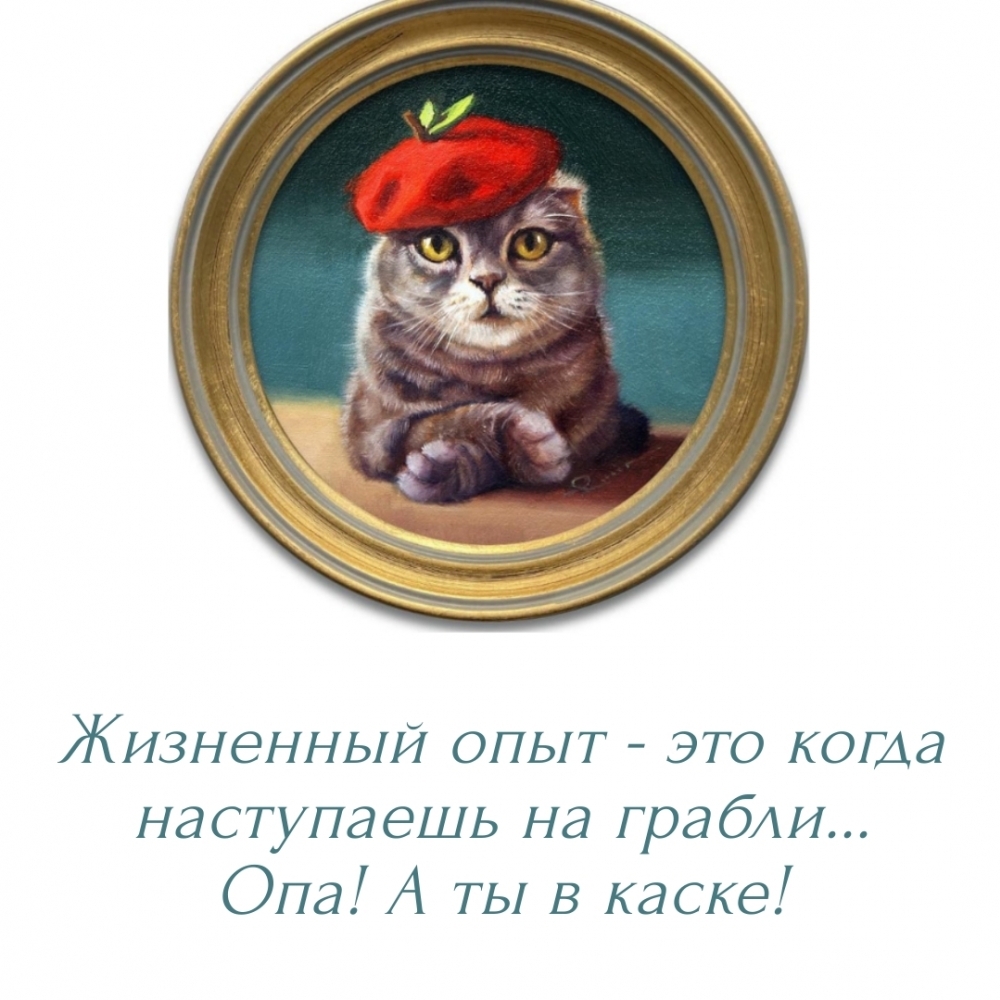 Жизненный опыт — наступаешь на грабли… Опа! А ты в каске!