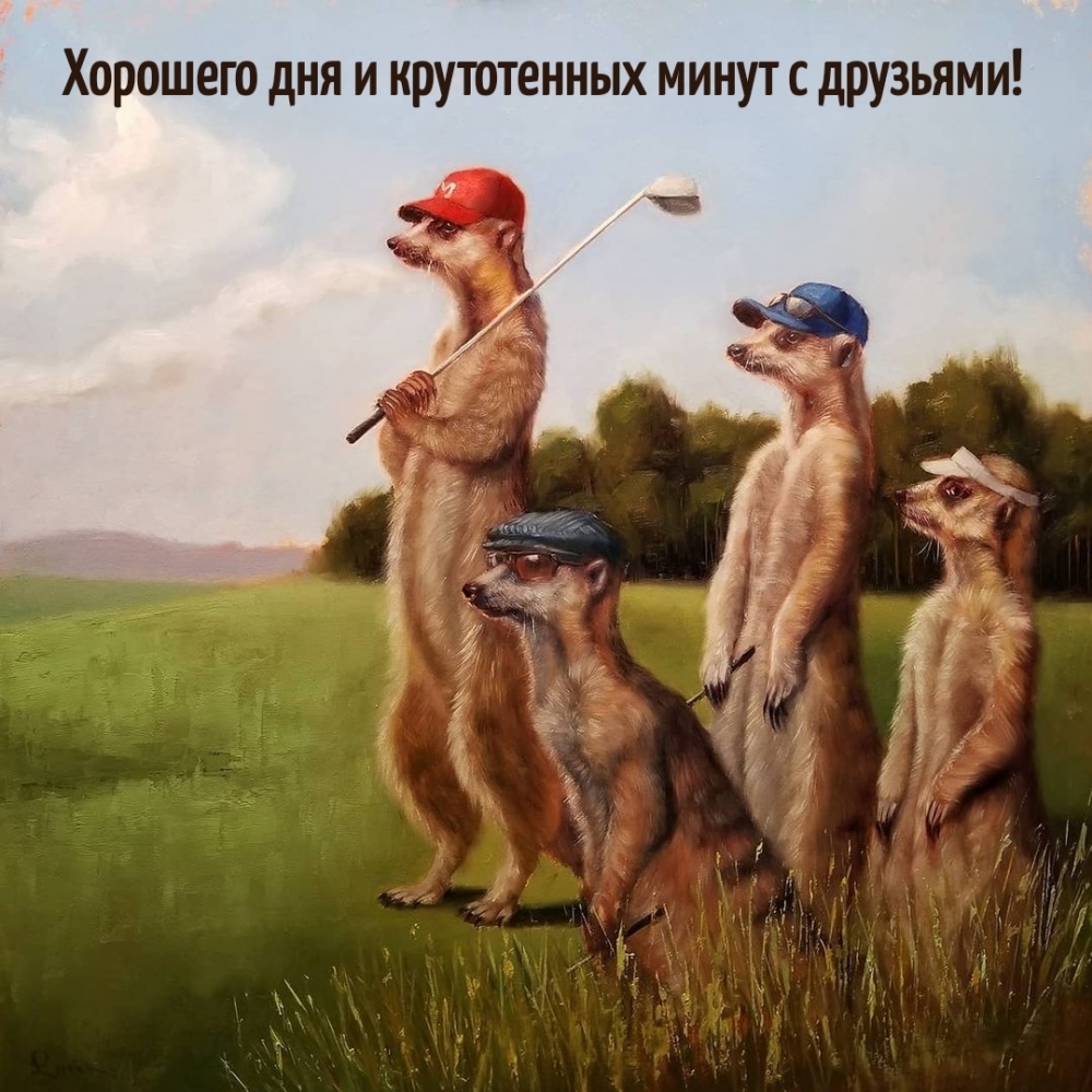 Хорошего дня и крутотенных минут с друзьями!