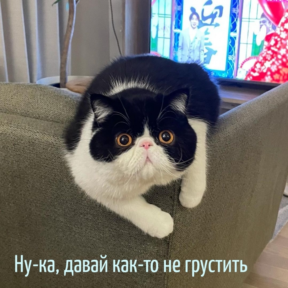Ну-ка, давай как-то не грустить