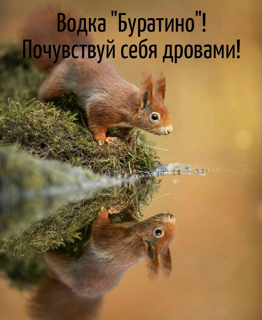 Водка «Буратино»! Почувствуй себя дровами!