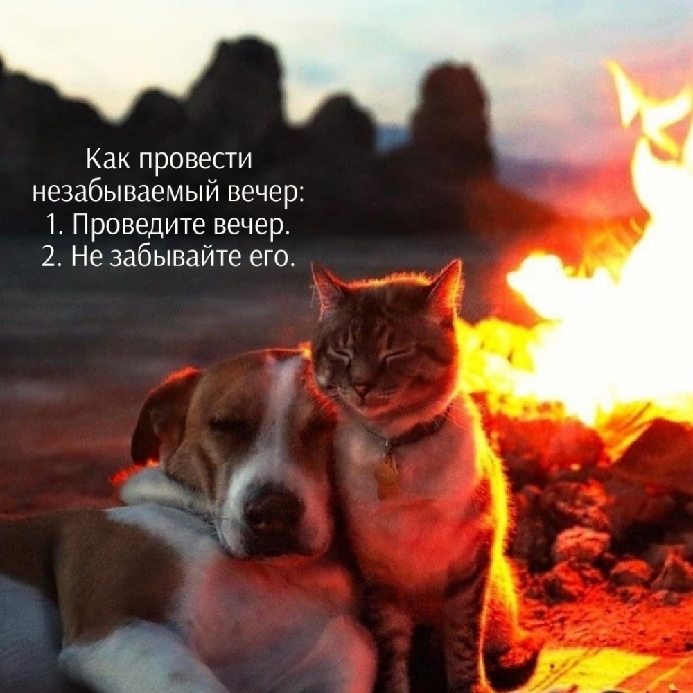Как провести незабываемый вечер: 1. Проведите вечер.