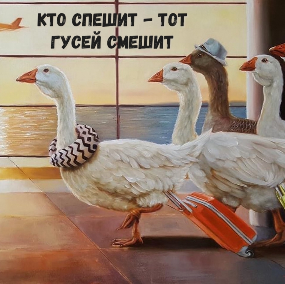 Кто спешит — тот гусей смешит