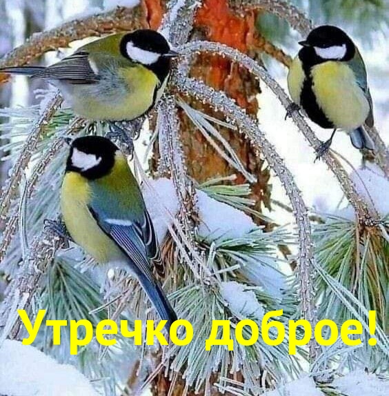 Утречко доброе!