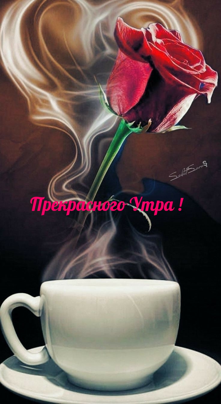 Прекрасного Утра!
