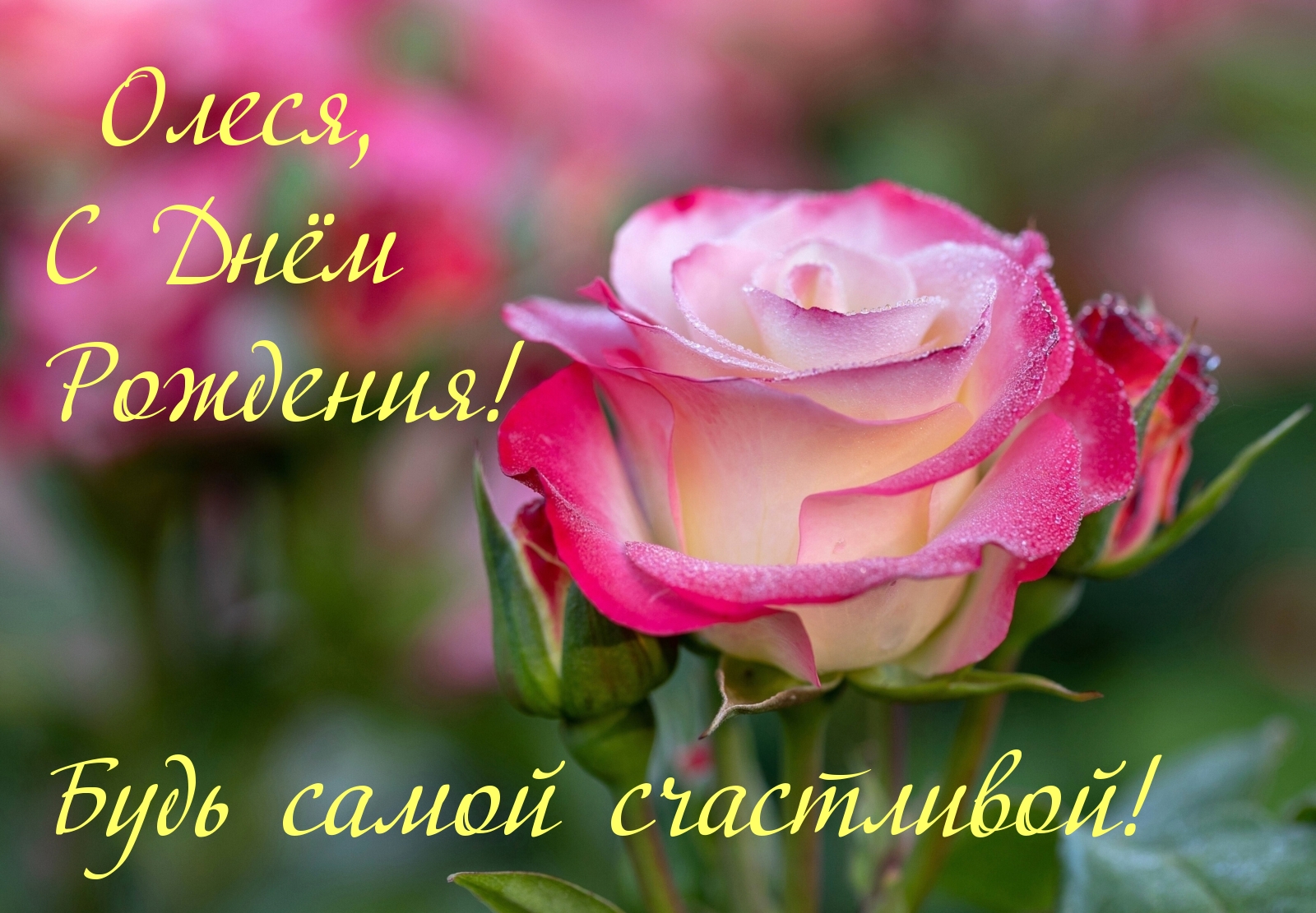 Олеся, С Днём Рождения! Будь самой счастливой!