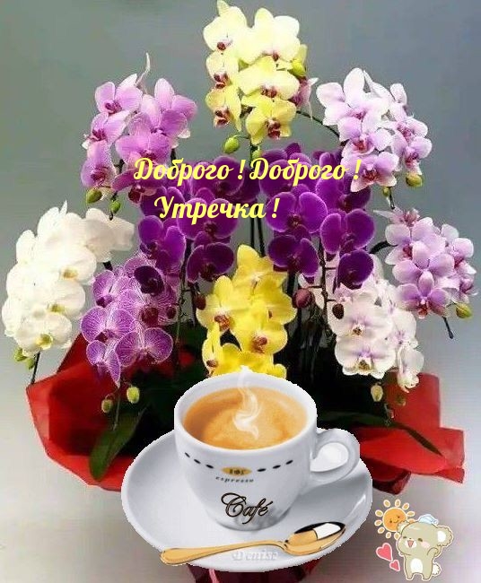 Доброго! Доброго! Утречка!