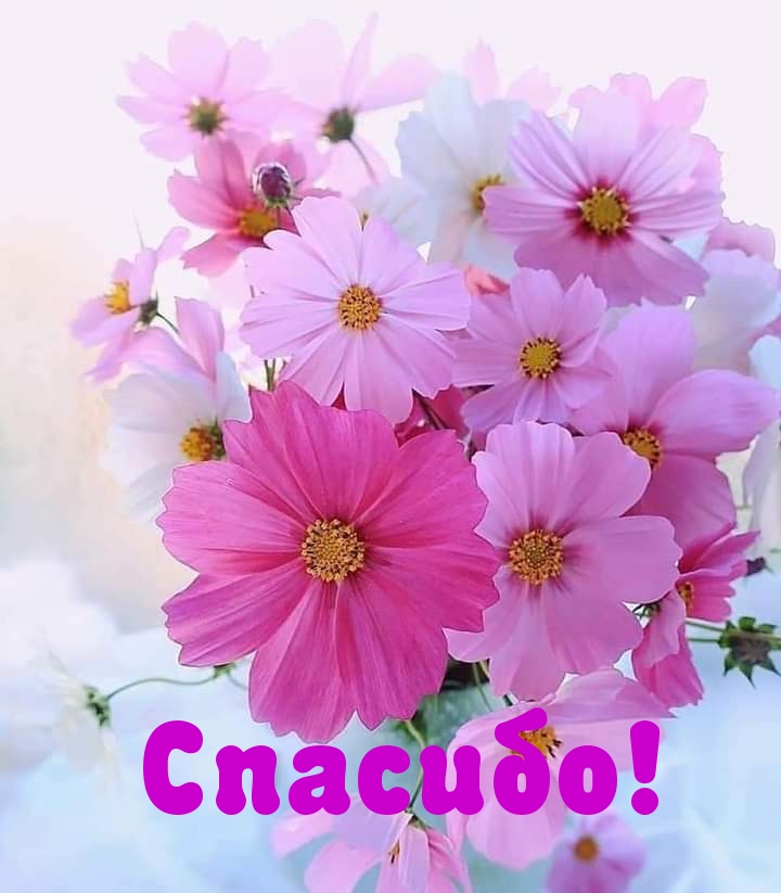 Спасибо!