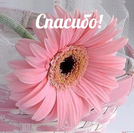Спасибо!
