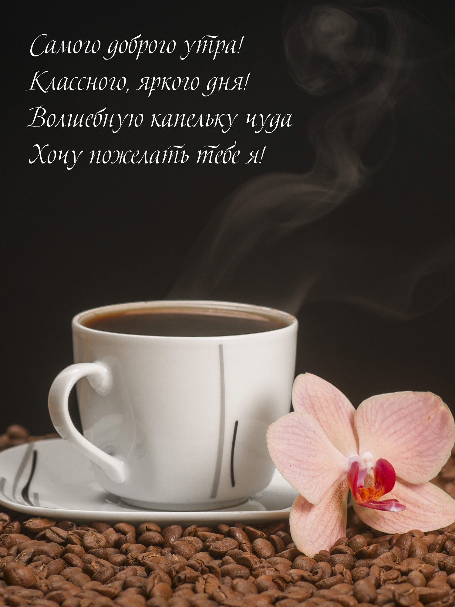 Самого доброго утра! Классного, яркого дня!