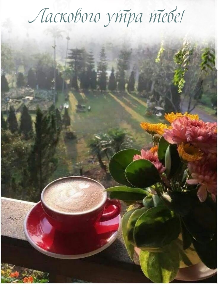Картинки с надписями.  Ласкового утра тебе!.