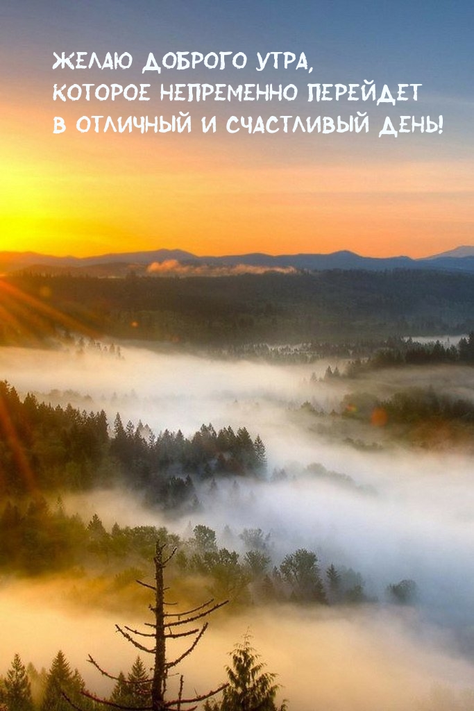 Картинки с надписями.  Желаю доброго утра, которое перейдет в счастливый день!.