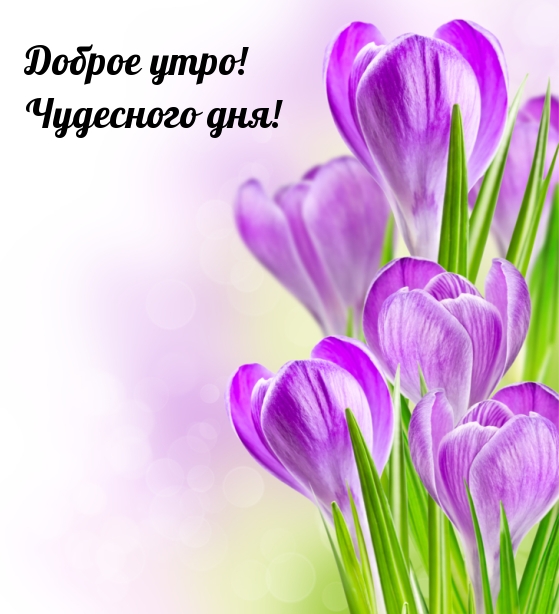 Доброе утро! Чудесного дня!